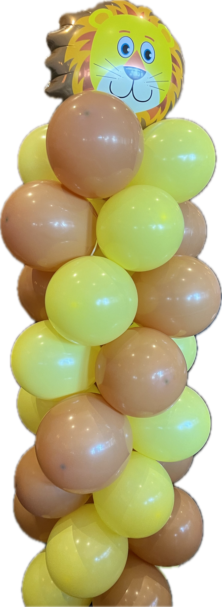 cellImage_0_3 עמוד בלונים ספארי מעוצב – תמונה 1