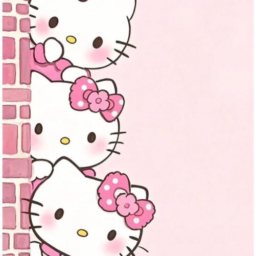 דף סוכר אכיל הלו קיטי