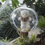 מארז בלון פורח עם דובי ופרלינים