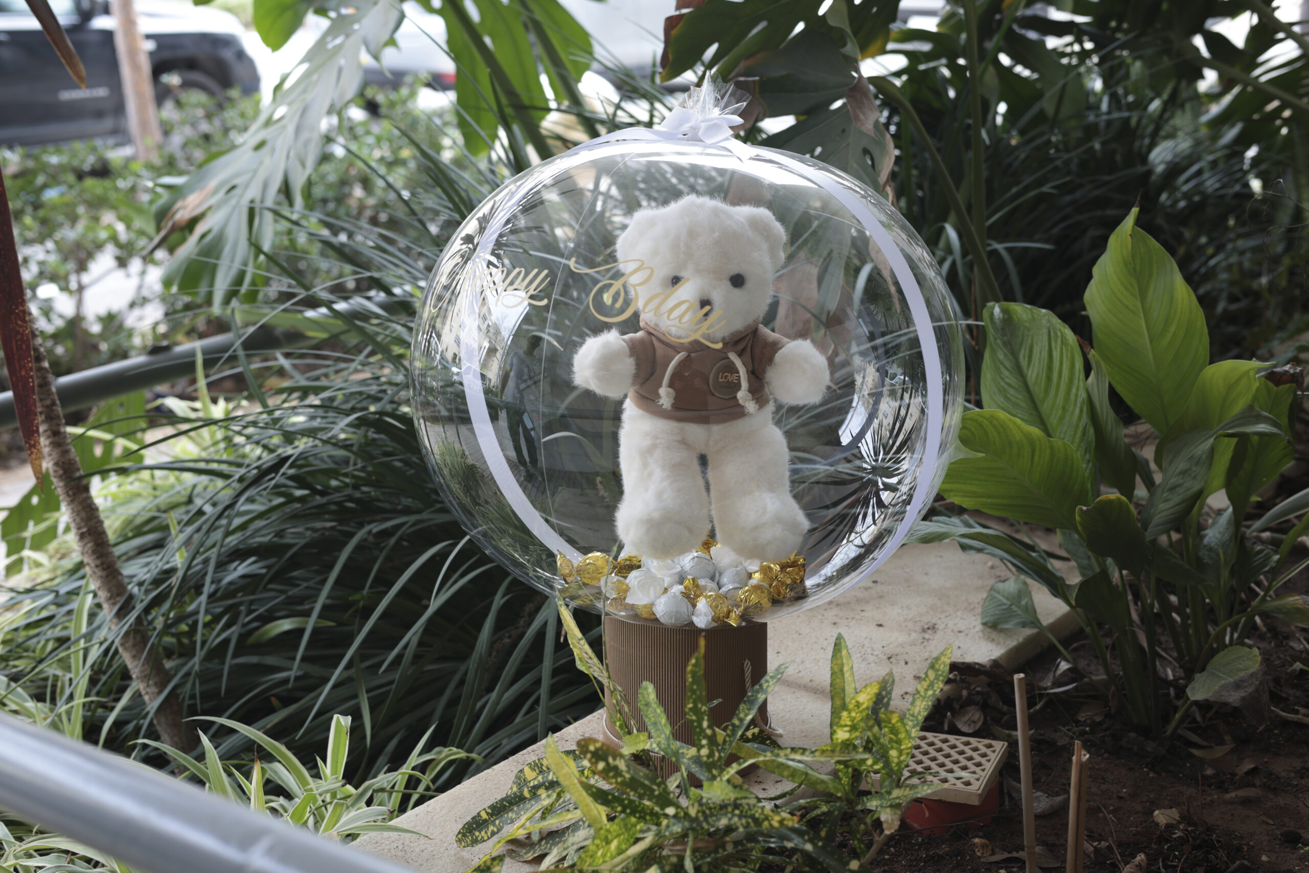 מארז בלון פורח עם דובי מארז בלון פורח עם דובי ופרלינים – תמונה 1