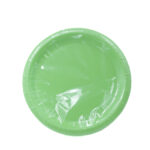 צלחת חד פעמי 9' צבע ירוק