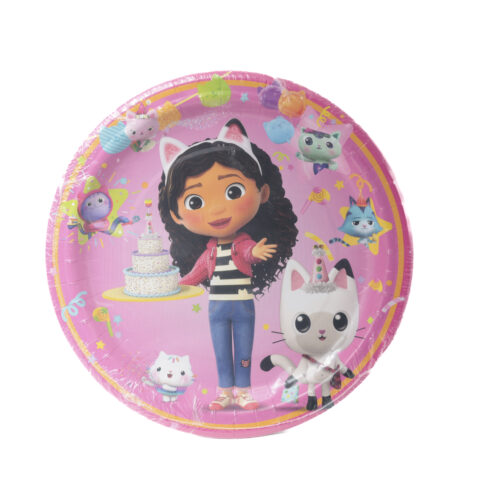 צלחת ממותגת גבי (1)